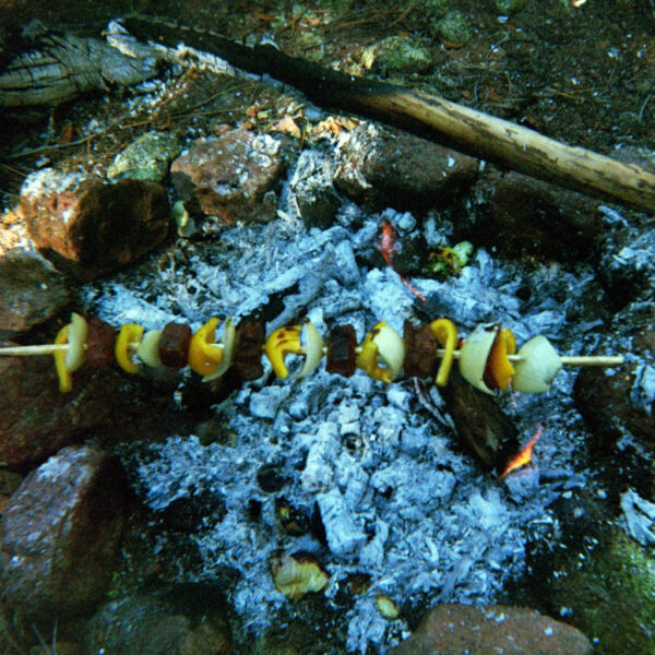A skewer of vegetables and meat roasts over hot campfire coals surrounded by stones in the forest.