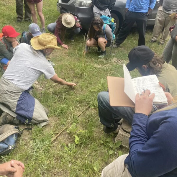Cattail Bob kneels on the grass, pointing out a wild plant to a group gathered around him, some crouched and others taking notes during a field class.