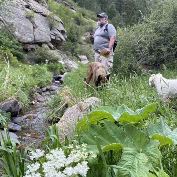 A bearded man stands beside a stream in a rocky, forested area with two dogs nearby and a notebook in hand, surrounded by wild plants including large green leaves and blooming white flowers.
