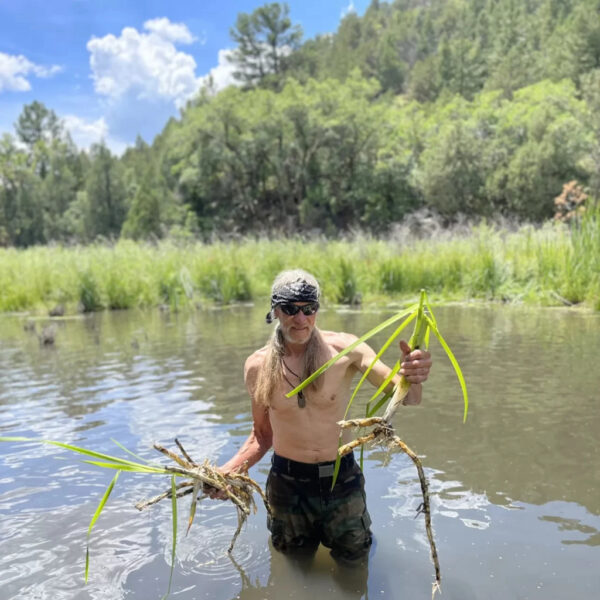 A shirtless man with long hair, sunglasses, and a bandana stands waist-deep in a pond holding freshly harvested cattail roots. Forested hills and tall grasses surround the water.