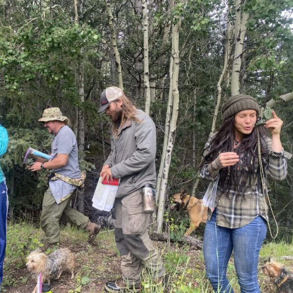 A group of people in the forest use compasses and maps while navigating with their dogs.