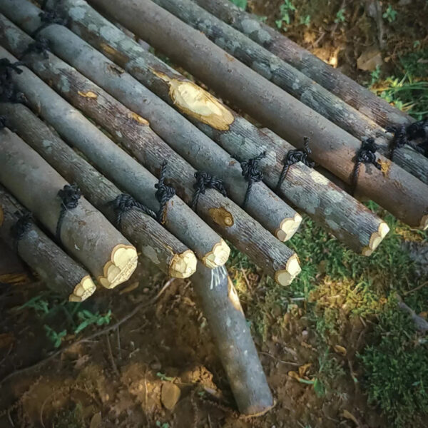 Close-up of a primitive bench made from lashed-together logs using black cordage, resting on forest ground.