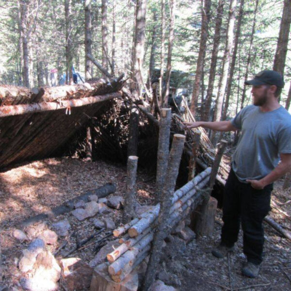 A-frame primitive shelter built from logs and evergreen branches, partially hidden among dense pine trees in a forest. The structure is camouflaged with natural materials, blending into the surroundings.