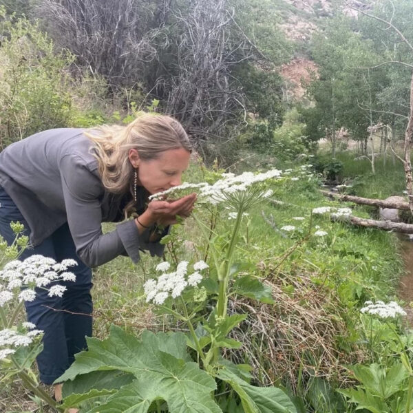 A woman leans forward to closely smell white flowering plants near a lush creek surrounded by green vegetation and trees.