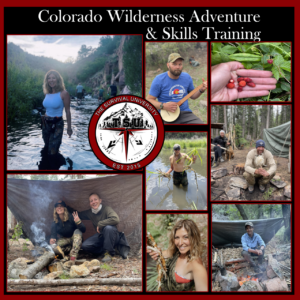 A collage of wilderness survival and adventure activities in the Colorado backcountry, featuring people foraging for wild berries, gathering reeds in a river, sitting around campfires, building shelters, and enjoying nature. The text reads “Colorado Wilderness Adventure & Skills Training” with The Survival University logo centered.