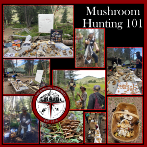 Collage of The Survival University's "Mushroom Hunting 101" course. Images show students identifying, collecting, and sorting wild mushrooms in a forested mountain environment. Tables are covered with books, charts, and a wide variety of mushroom species. The TSU logo is centered prominently.