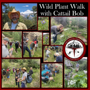 A collage of images from a wild plant walk led by Cattail Bob at The Survival University, showing participants examining plants, taking notes, and engaging with nature in a lush mountainous environment