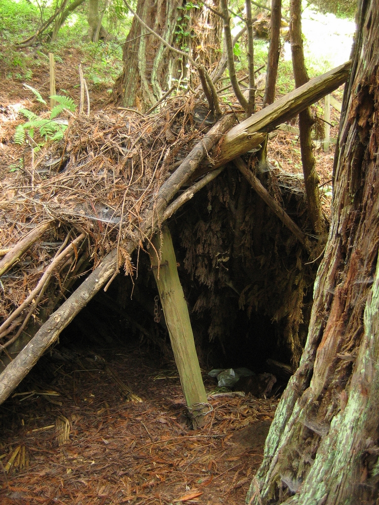 survival shelter designs debris hut shelter